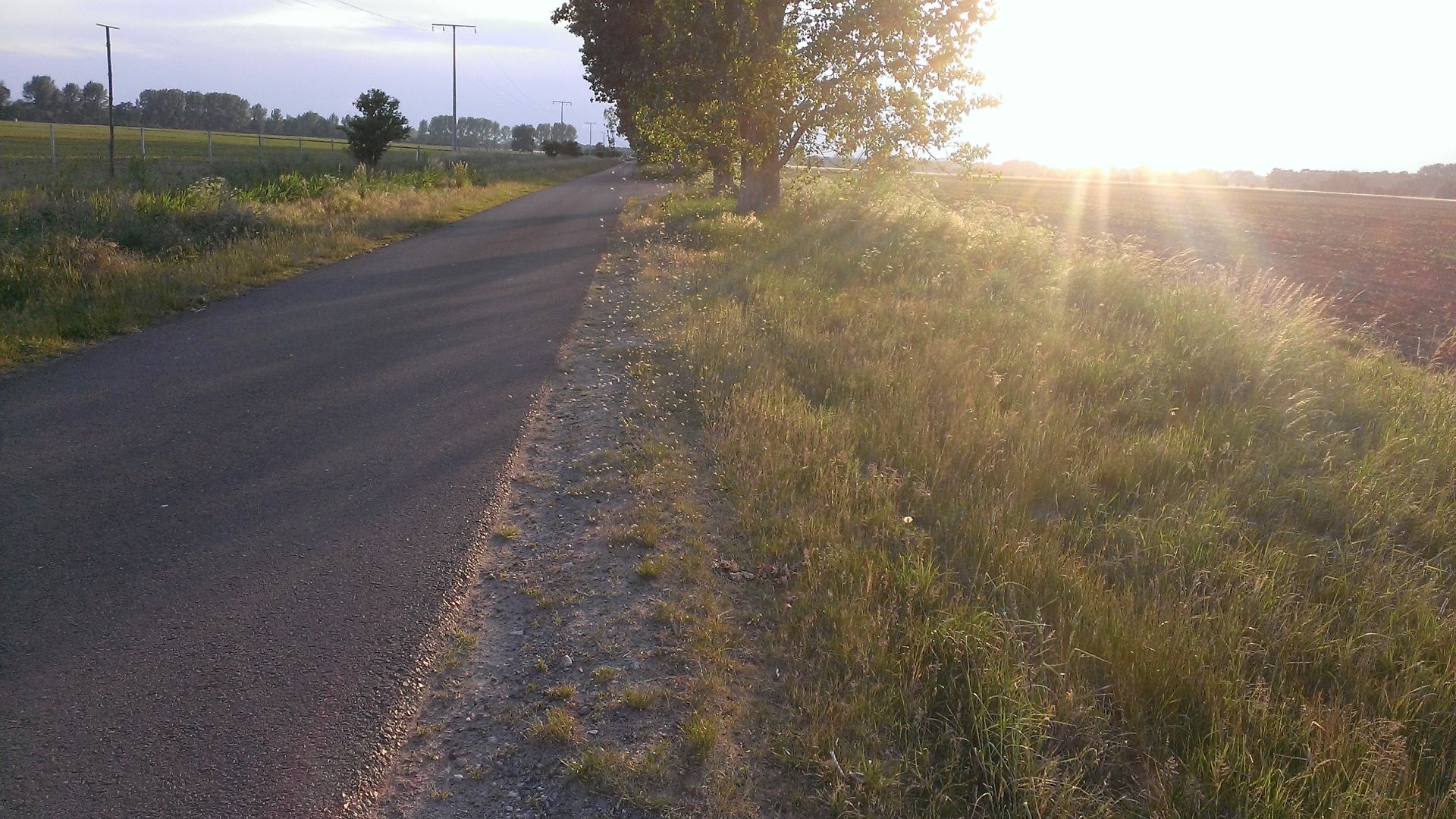 WP_20150529_002.jpg