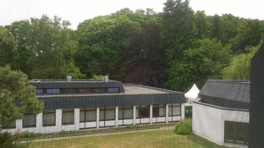 WP_20150608_14_31_37_Pro.jpg