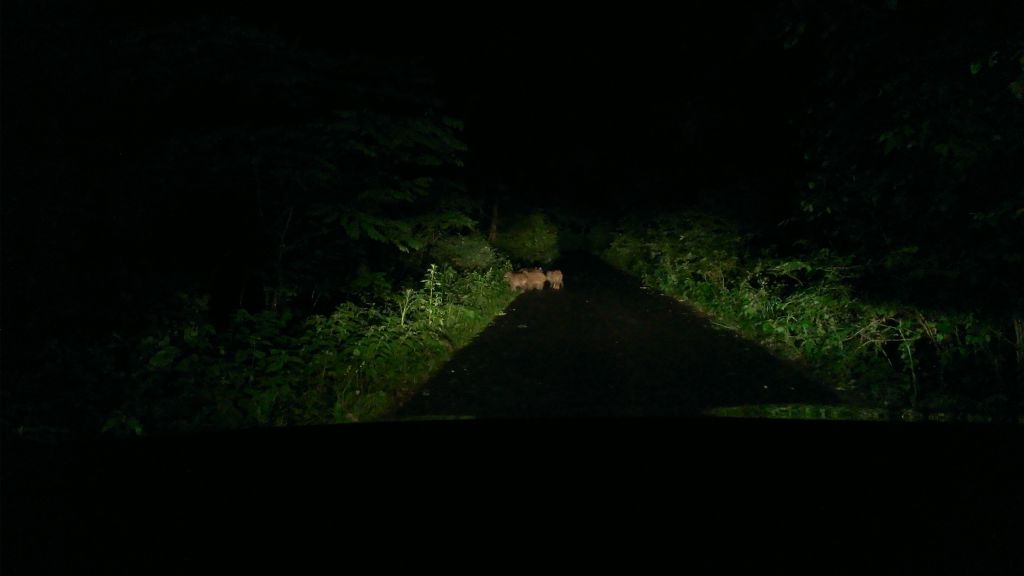 WP_20150620_001.jpg