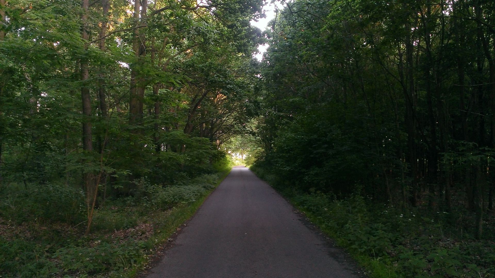 WP_20150621_005.jpg