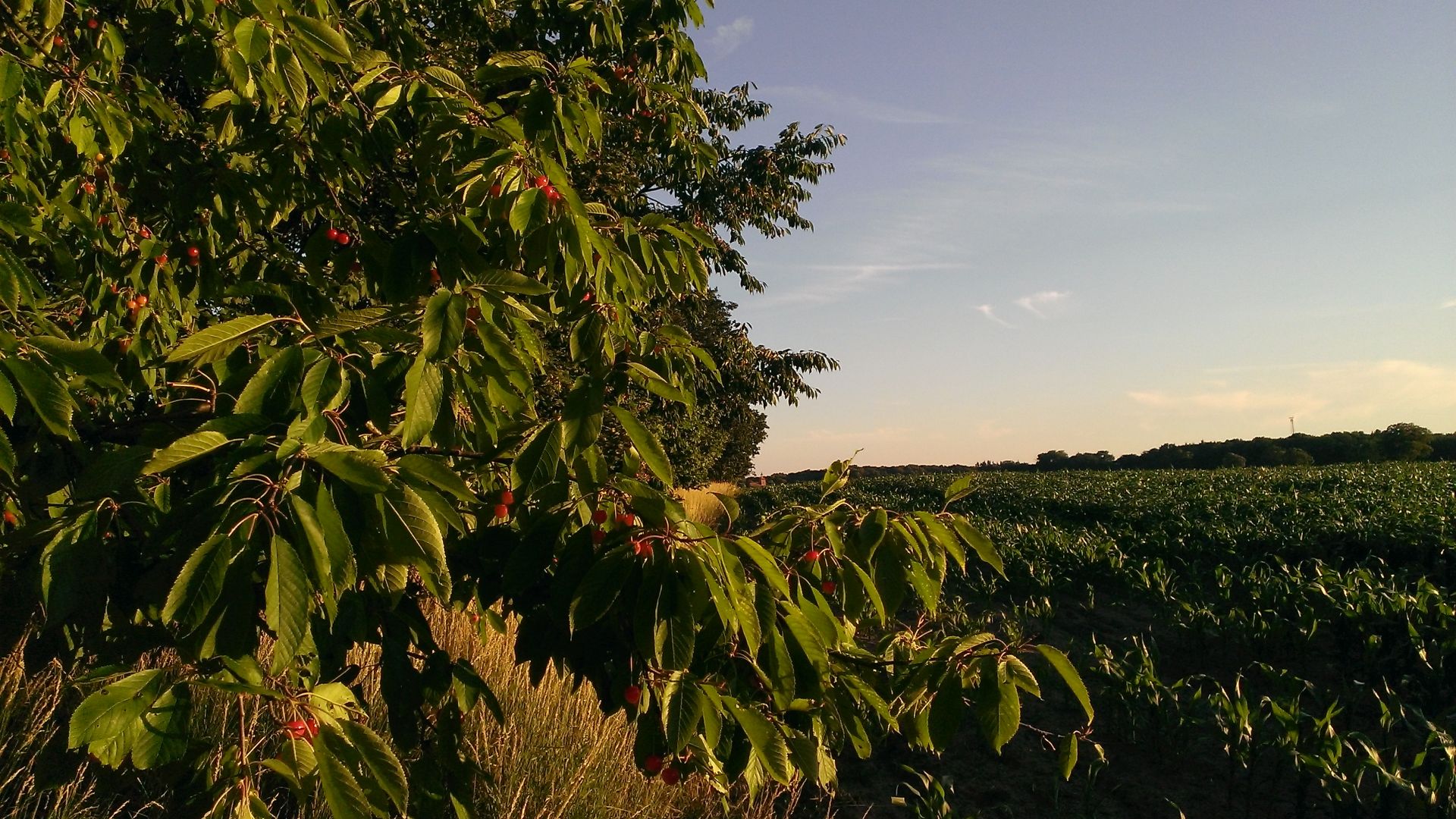 WP_20150630_014.jpg