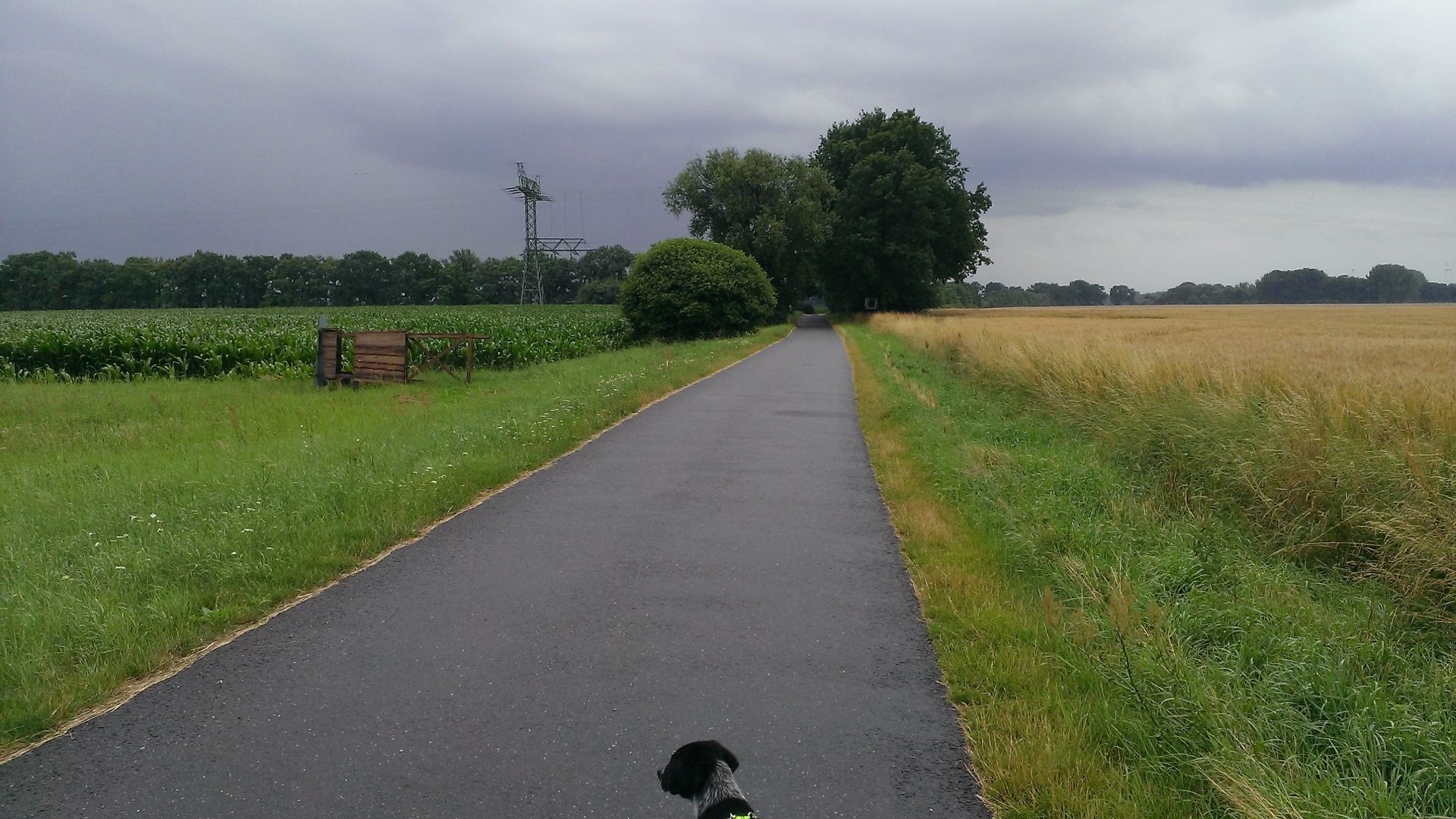 WP_20150713_008.jpg