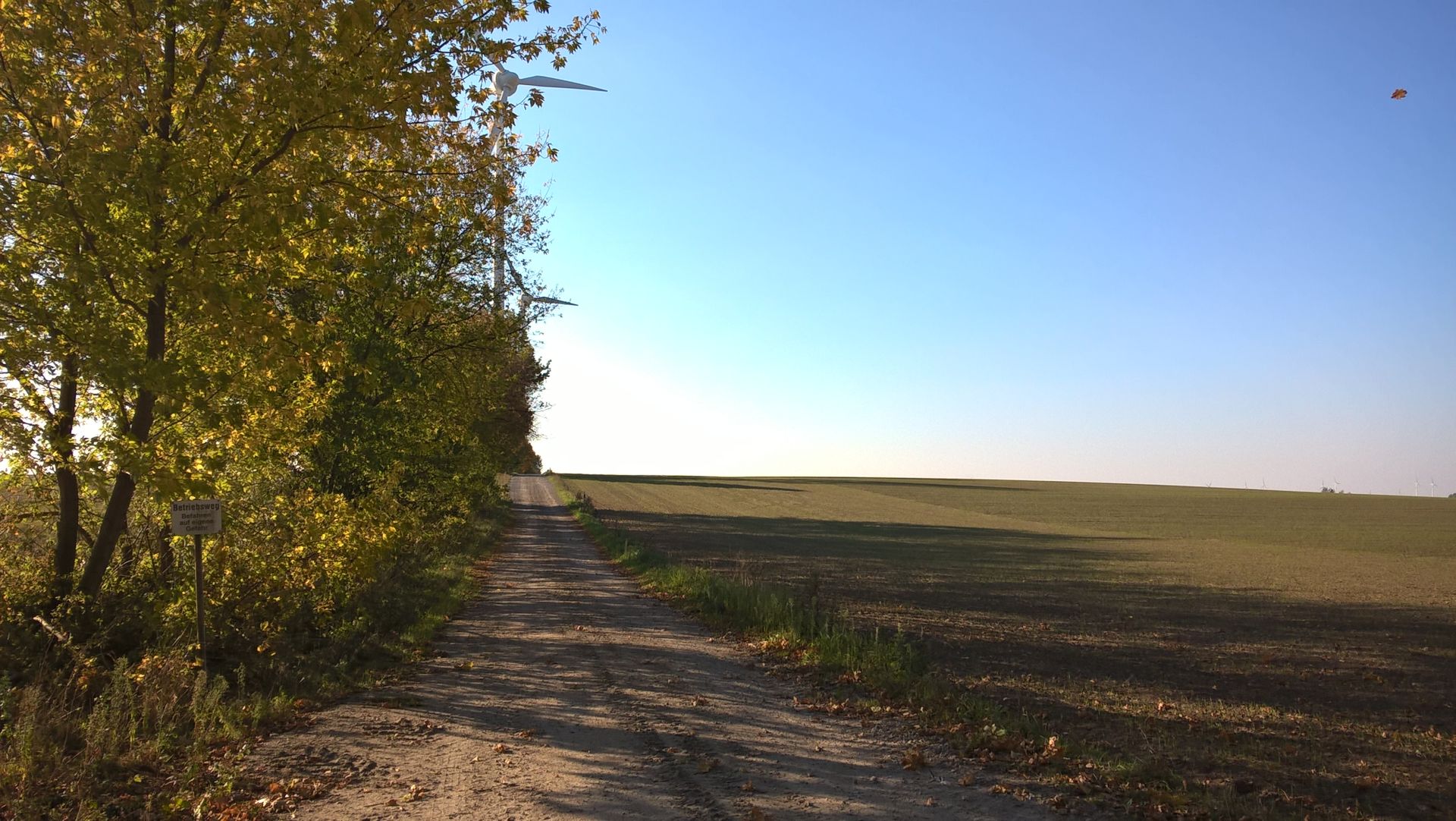 WP_20151011_15_50_58_Pro.jpg