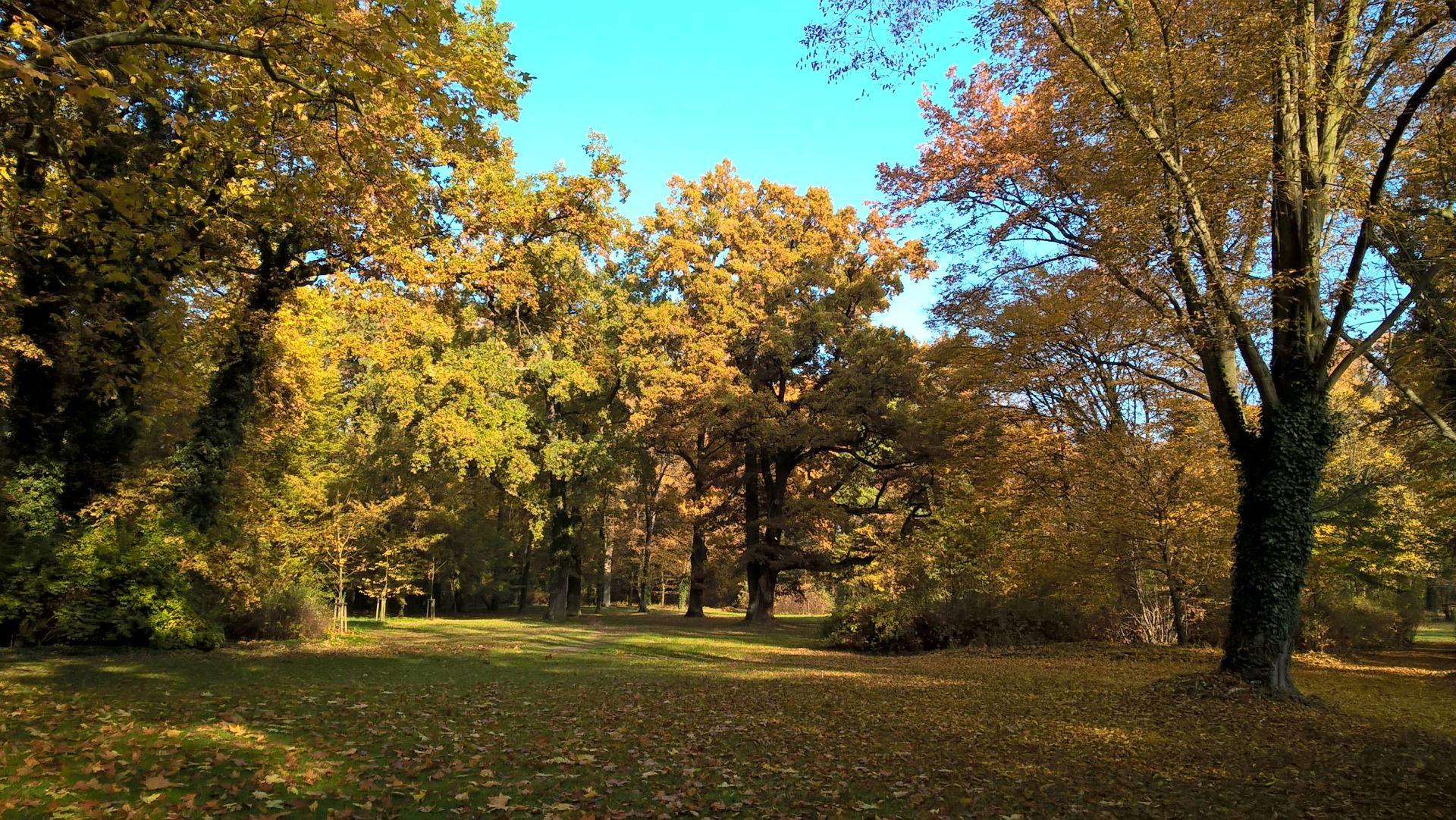 WP_20151028_10_00_07_Pro.jpg