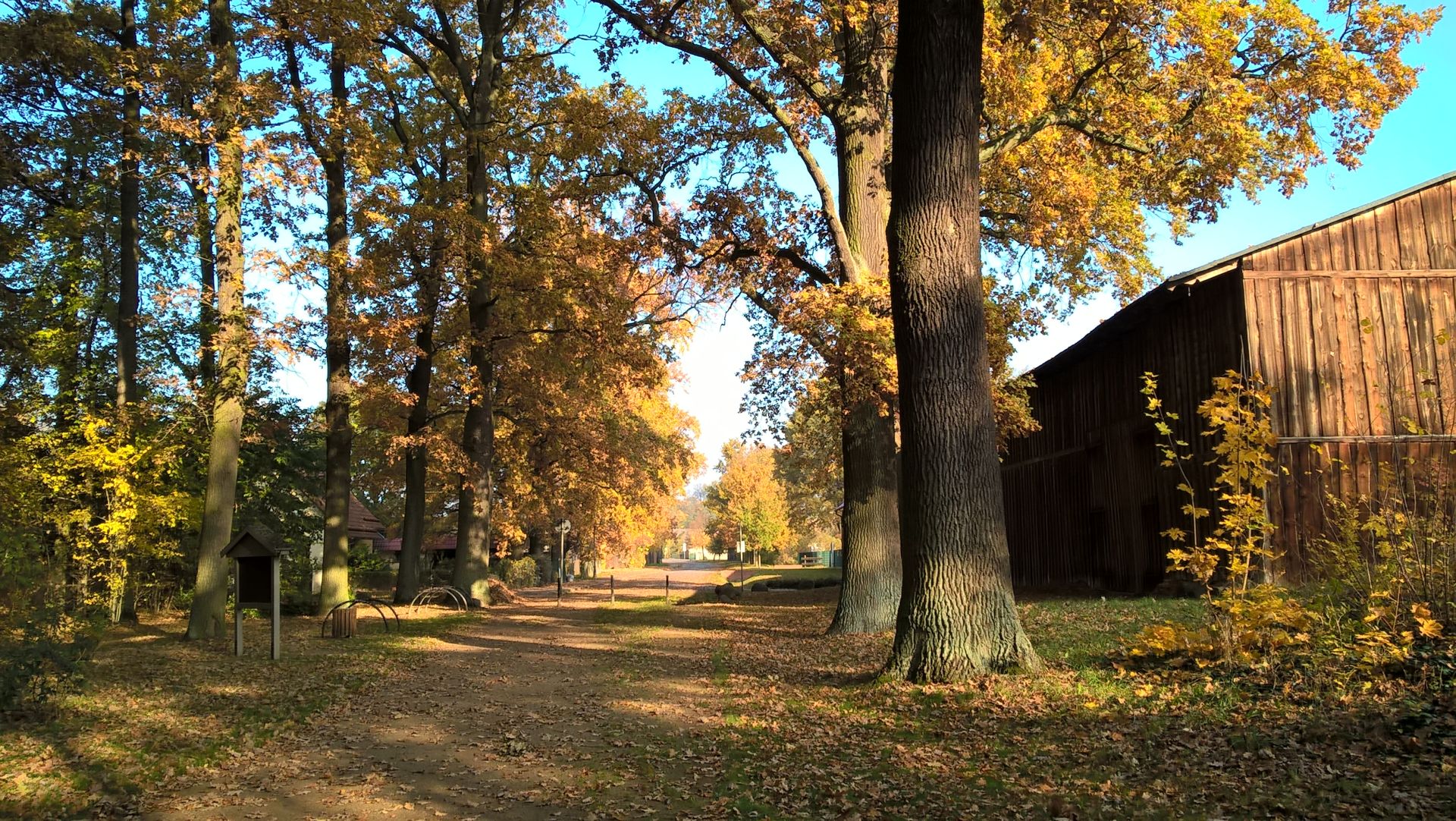 WP_20151028_10_03_25_Pro.jpg