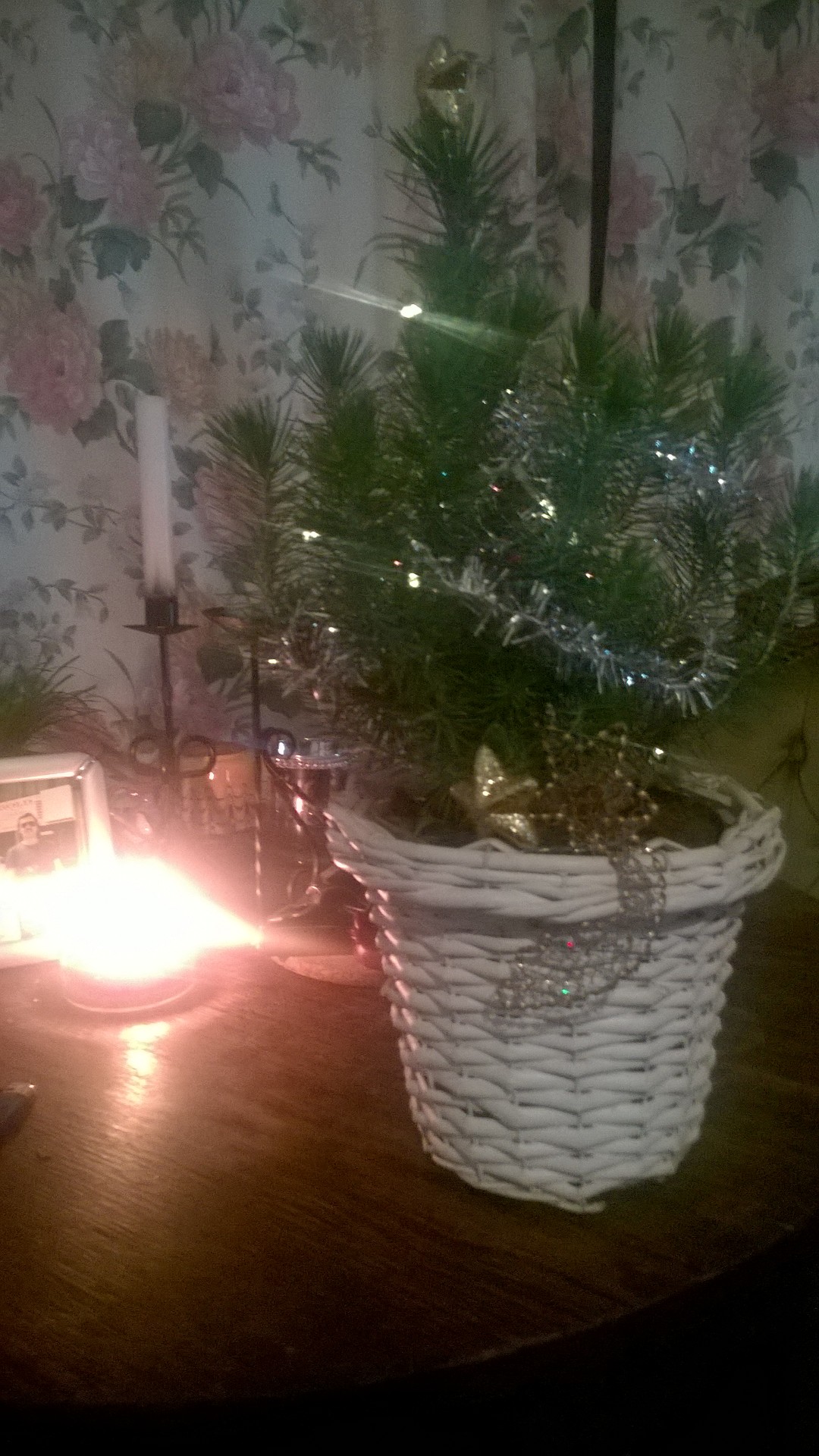 WP_20151213_003.jpg