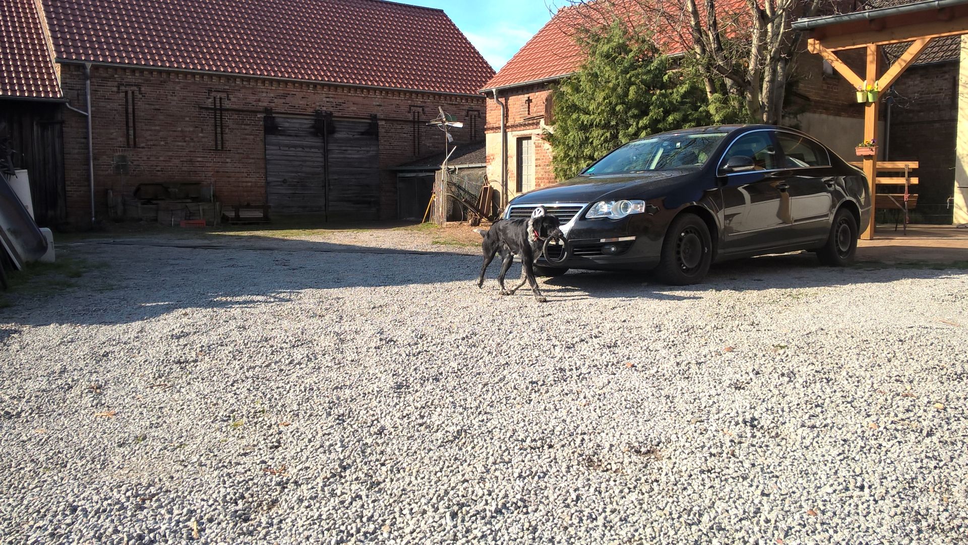 WP_20160408_09_41_15_Pro.jpg