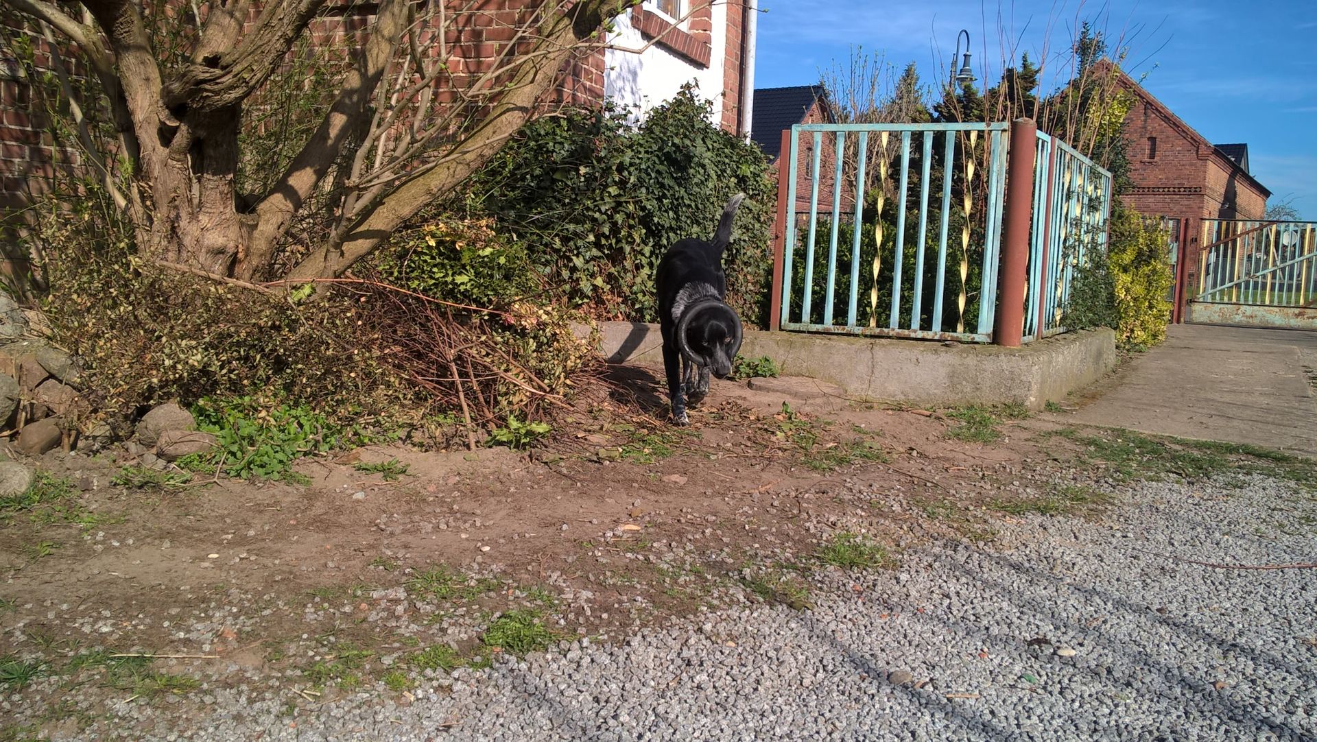 WP_20160408_09_41_54_Pro.jpg