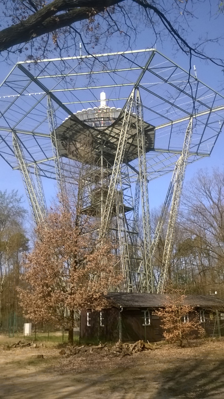 WP_20160409_11_10_09_1Pro.jpg