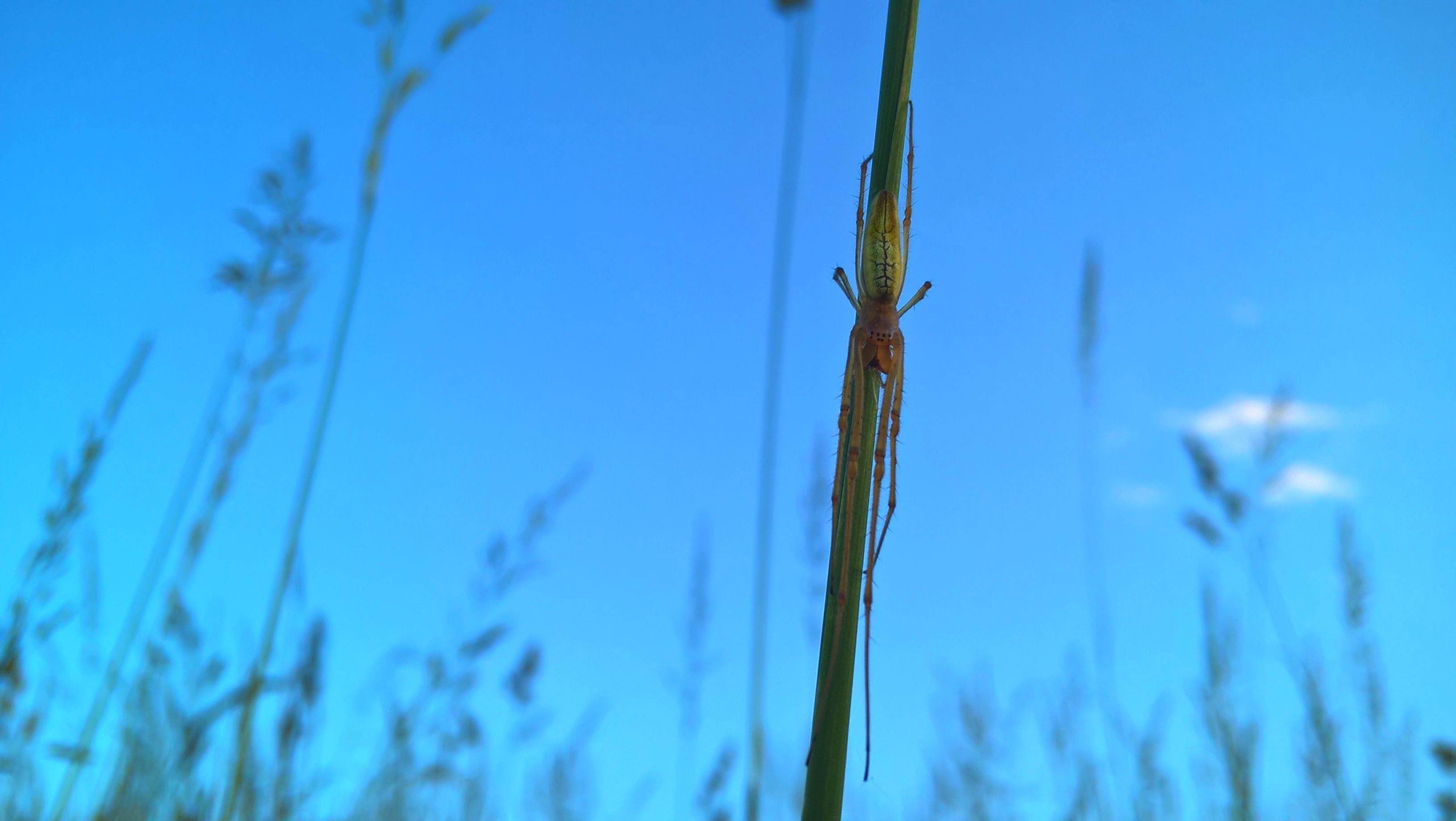 WP_20160605_20_31_56_Pro.jpg