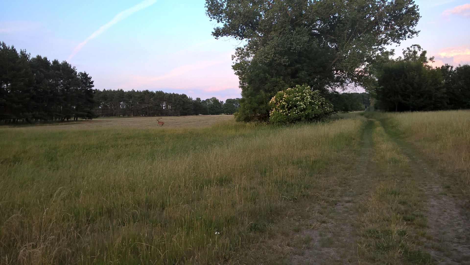 WP_20160609_20_33_03_Pro.jpg