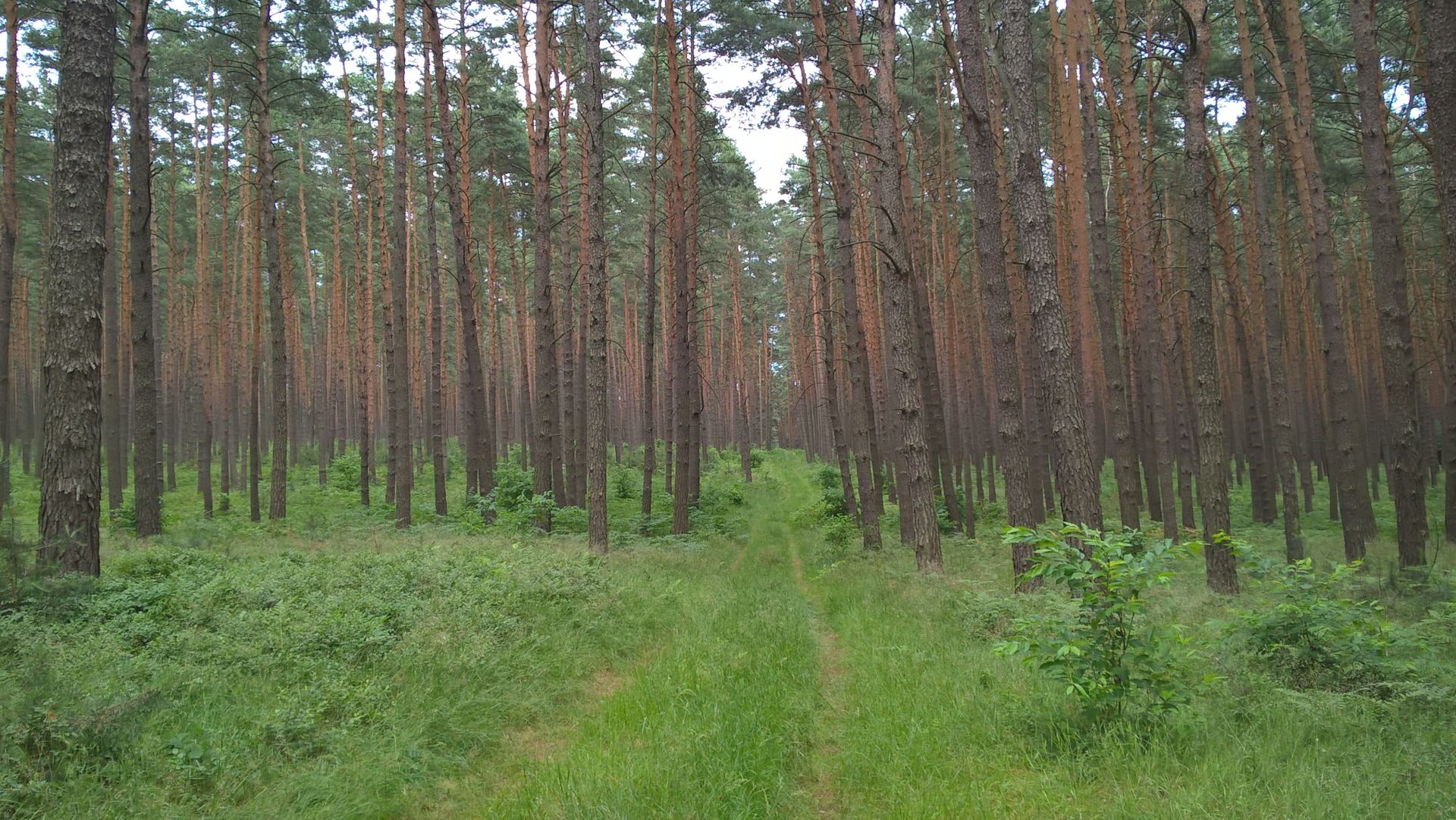WP_20160620_14_57_09_Pro.jpg