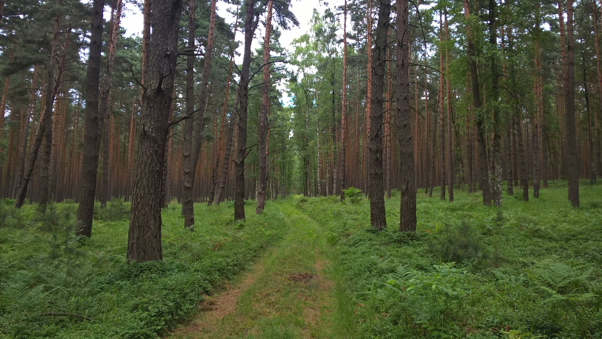 WP_20160622_14_46_37_Pro.jpg
