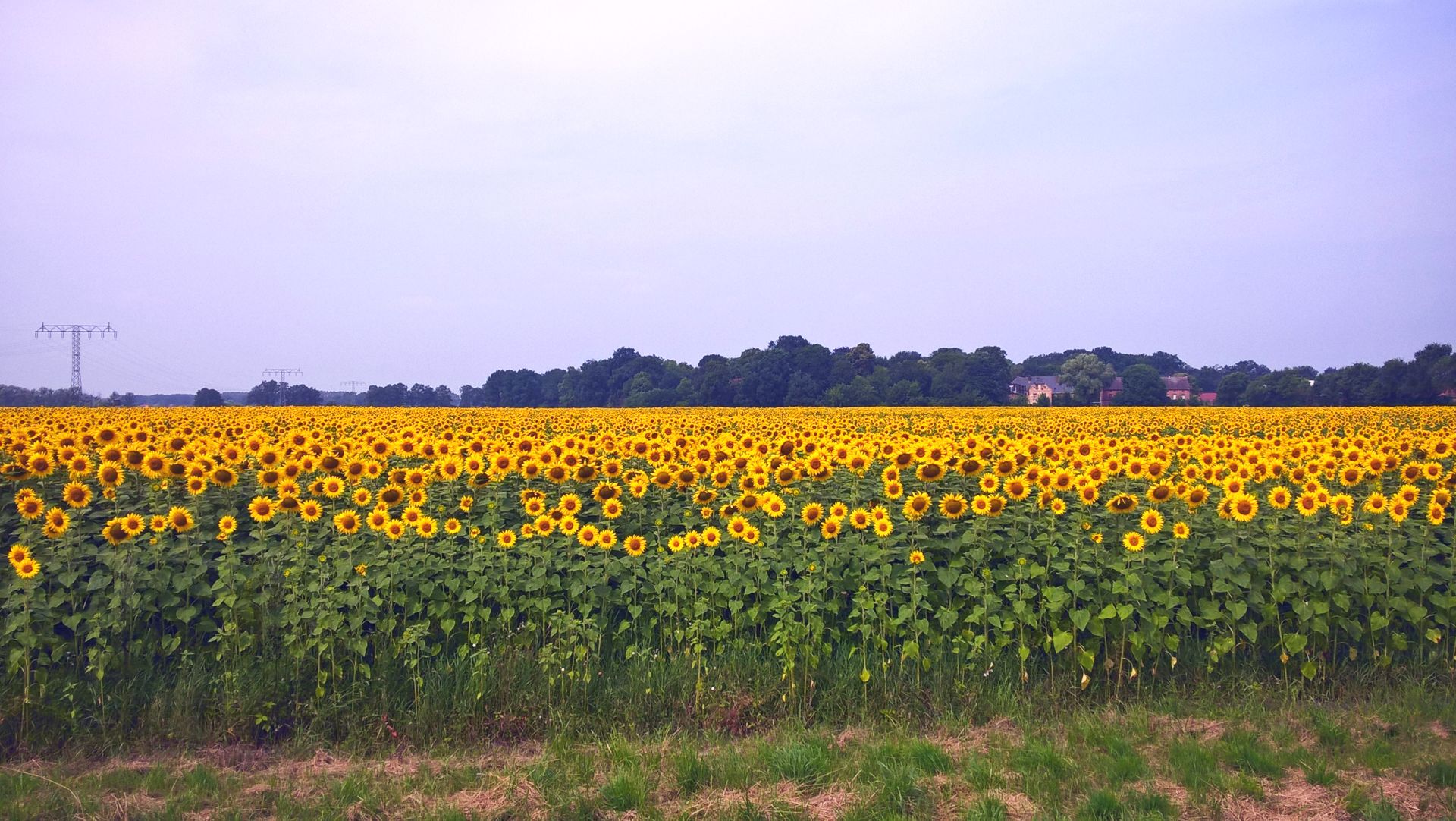 WP_20160724_10_55_56_Pro.jpg