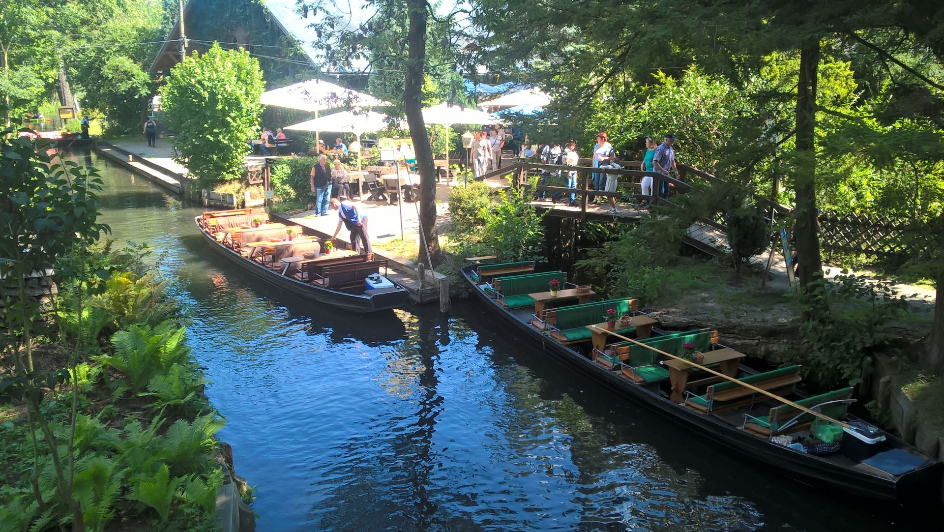 WP_20160813_14_24_49_Pro.jpg