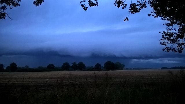 WP_20160904_19_49_43_Pro.jpg