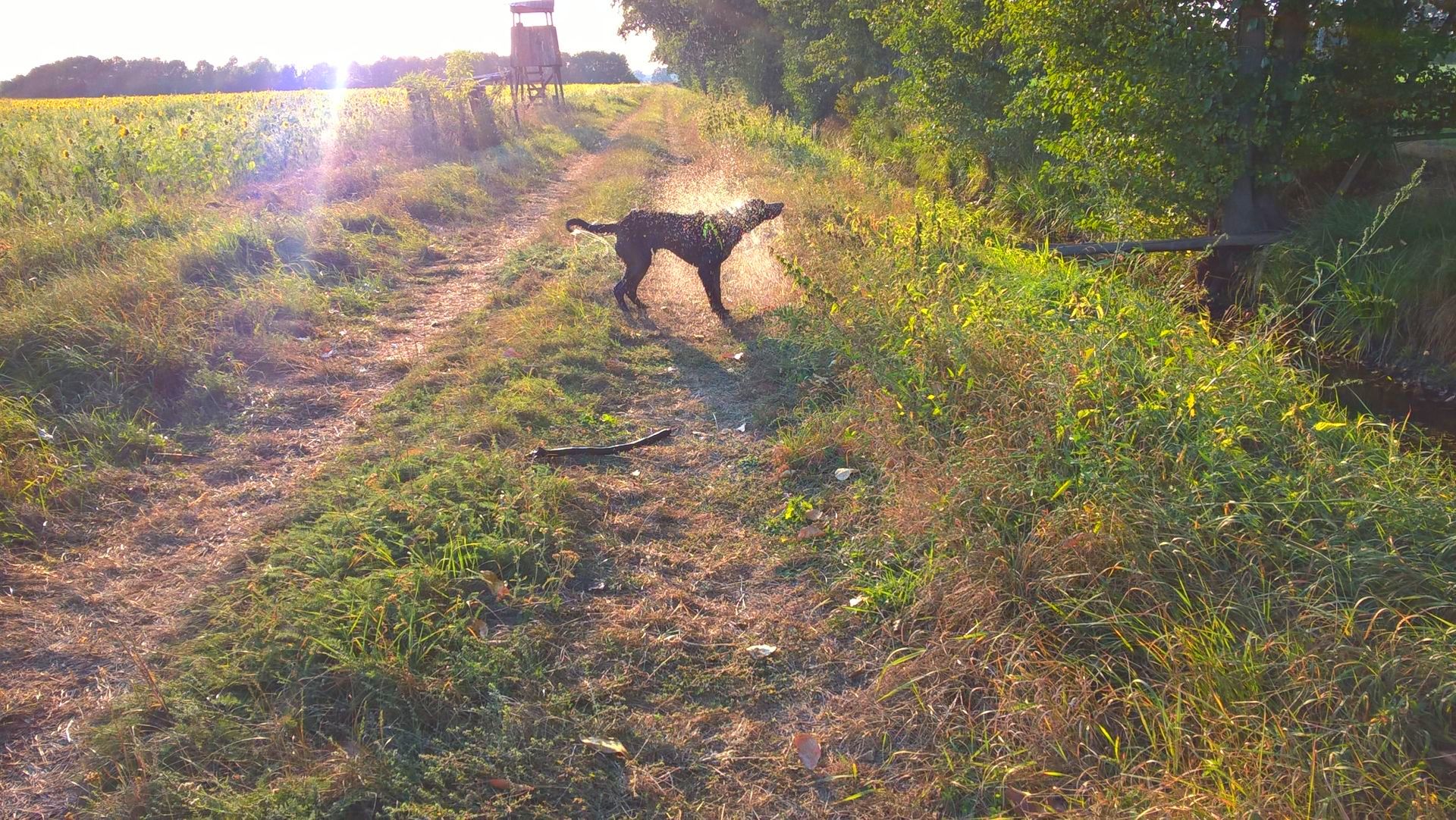 WP_20160926_17_29_48_Pro.jpg