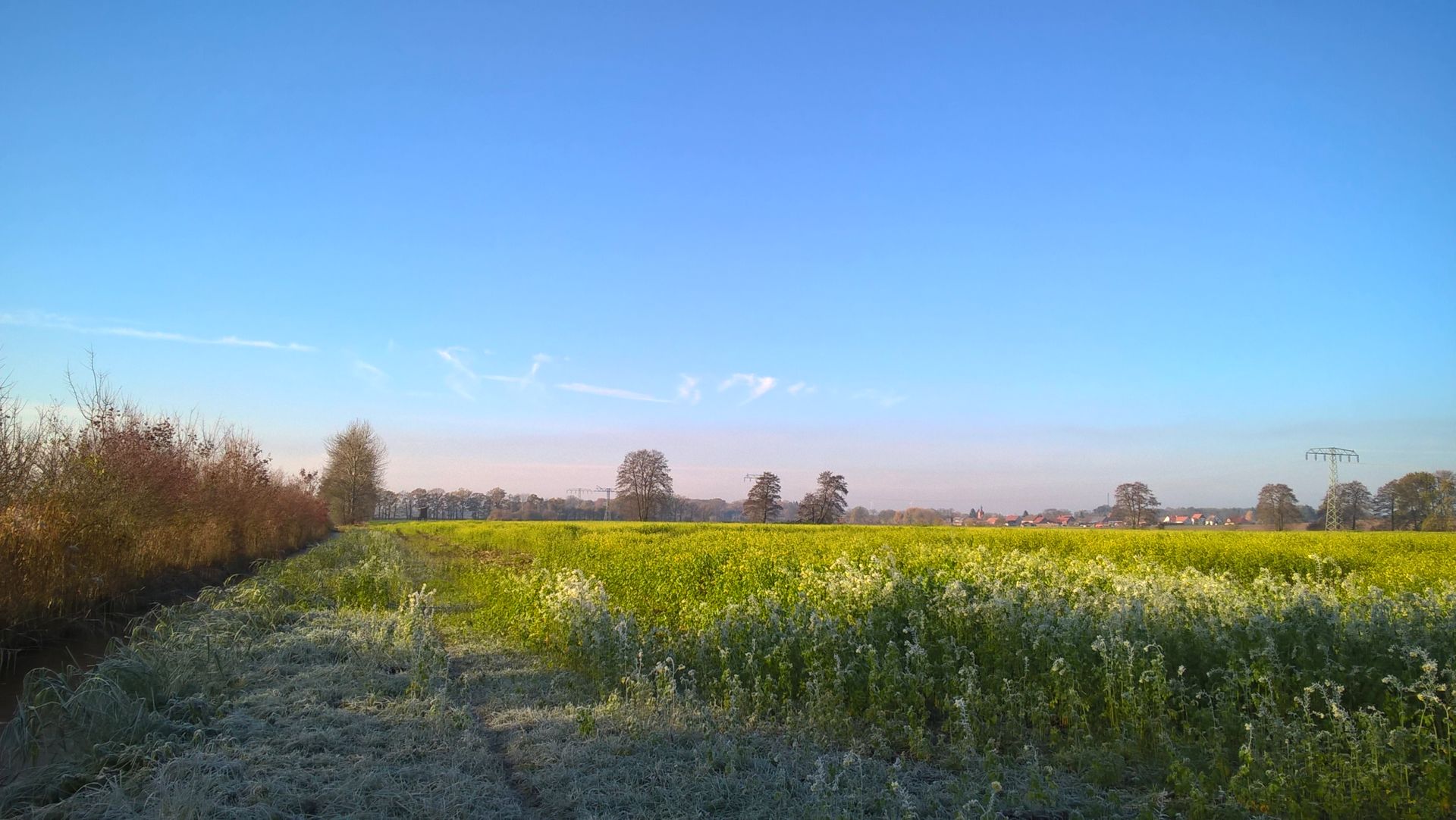WP_20161113_11_46_28_Pro.jpg