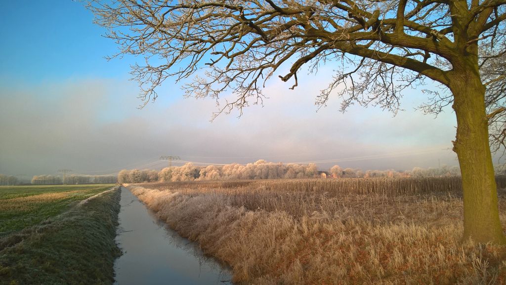 WP_20161205_09_23_07_Pro.jpg