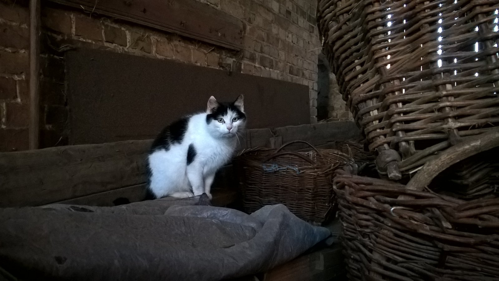 WP_20170128_15_44_48_Pro.jpg
