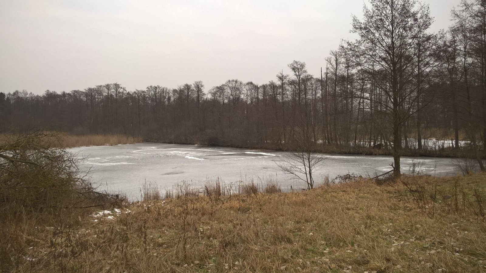 WP_20170212_12_26_32_Pro.jpg