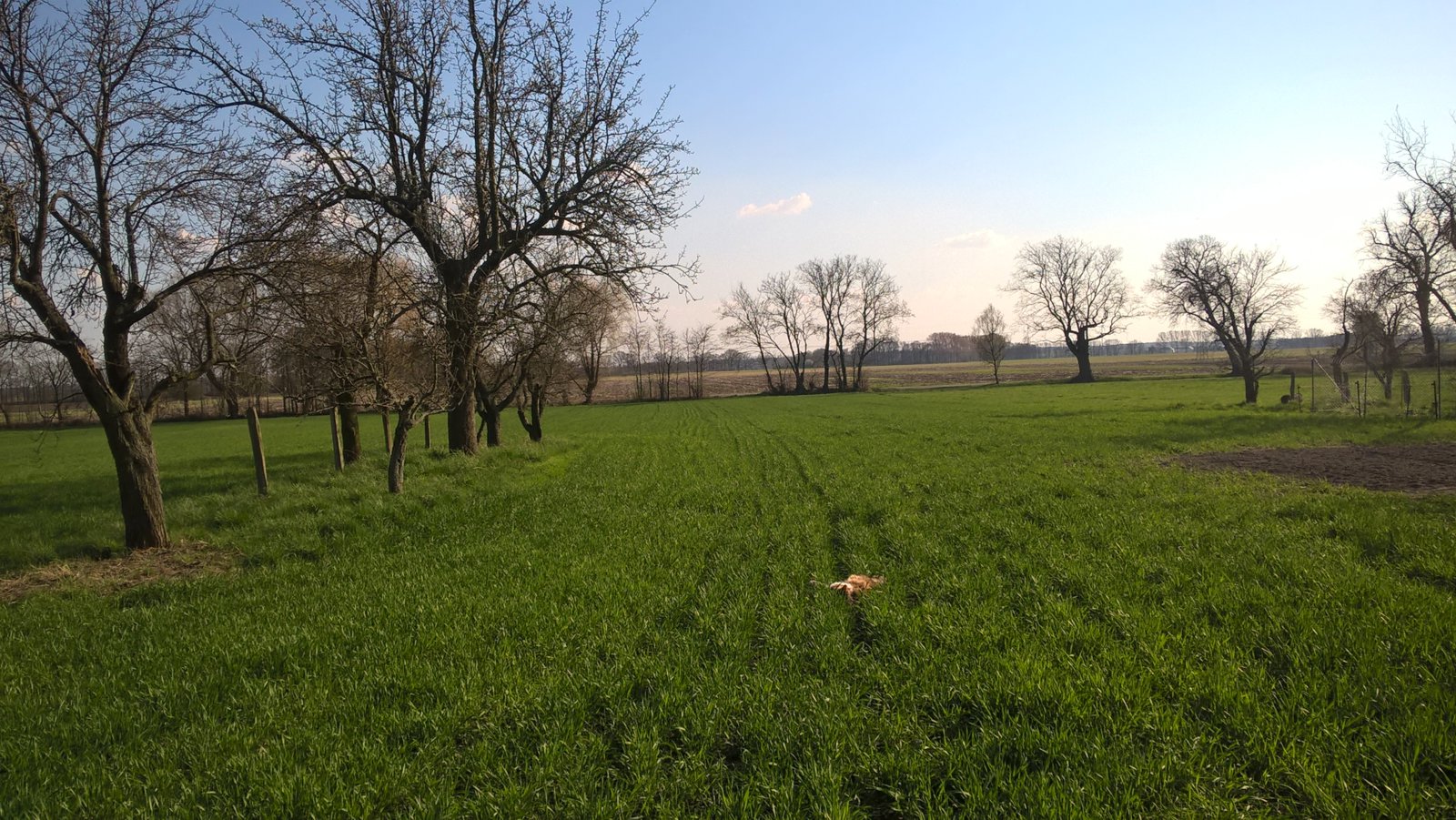 WP_20170401_16_31_40_Pro.jpg