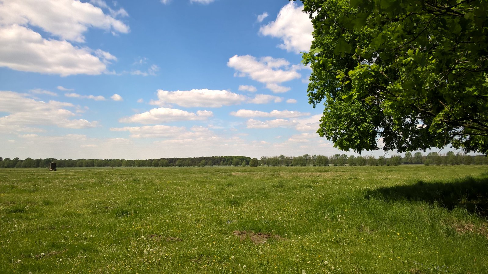 WP_20170521_14_17_59_Pro.jpg