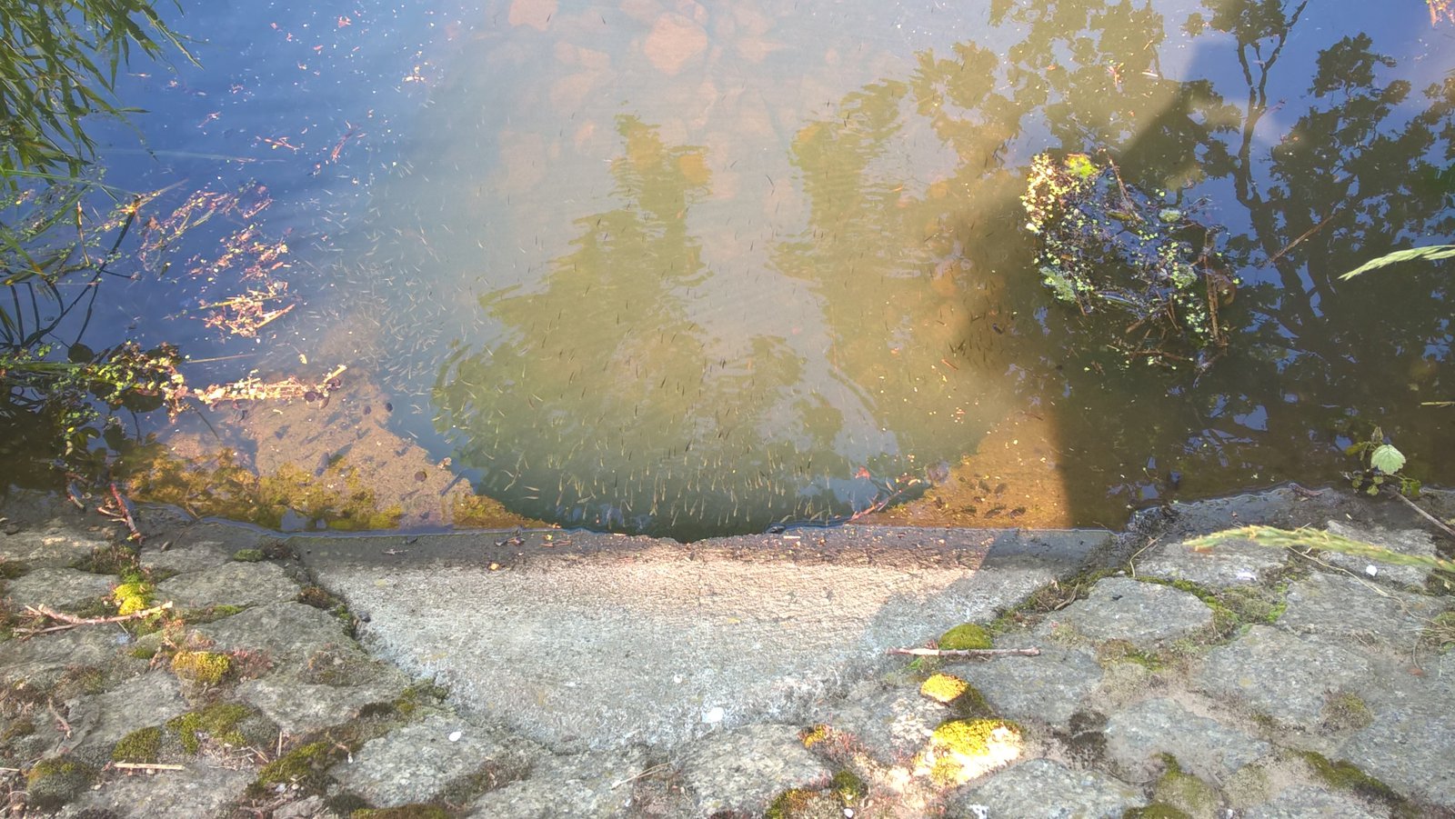 WP_20170529_09_28_30_Pro.jpg