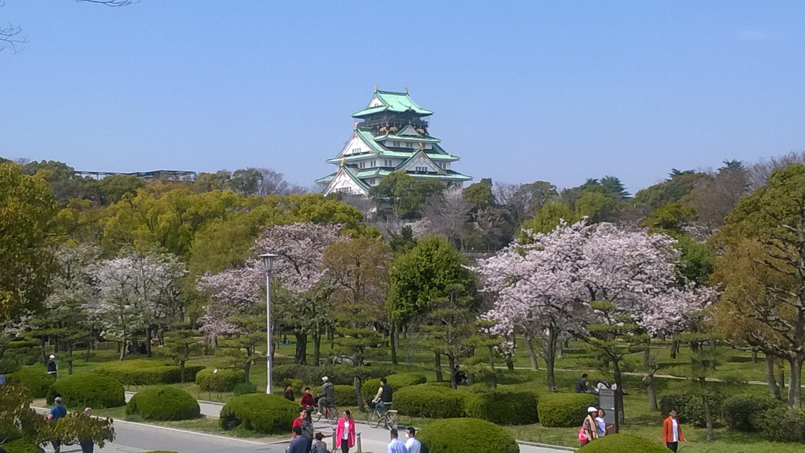 WP_20180327_12_26_58_Pro.jpg