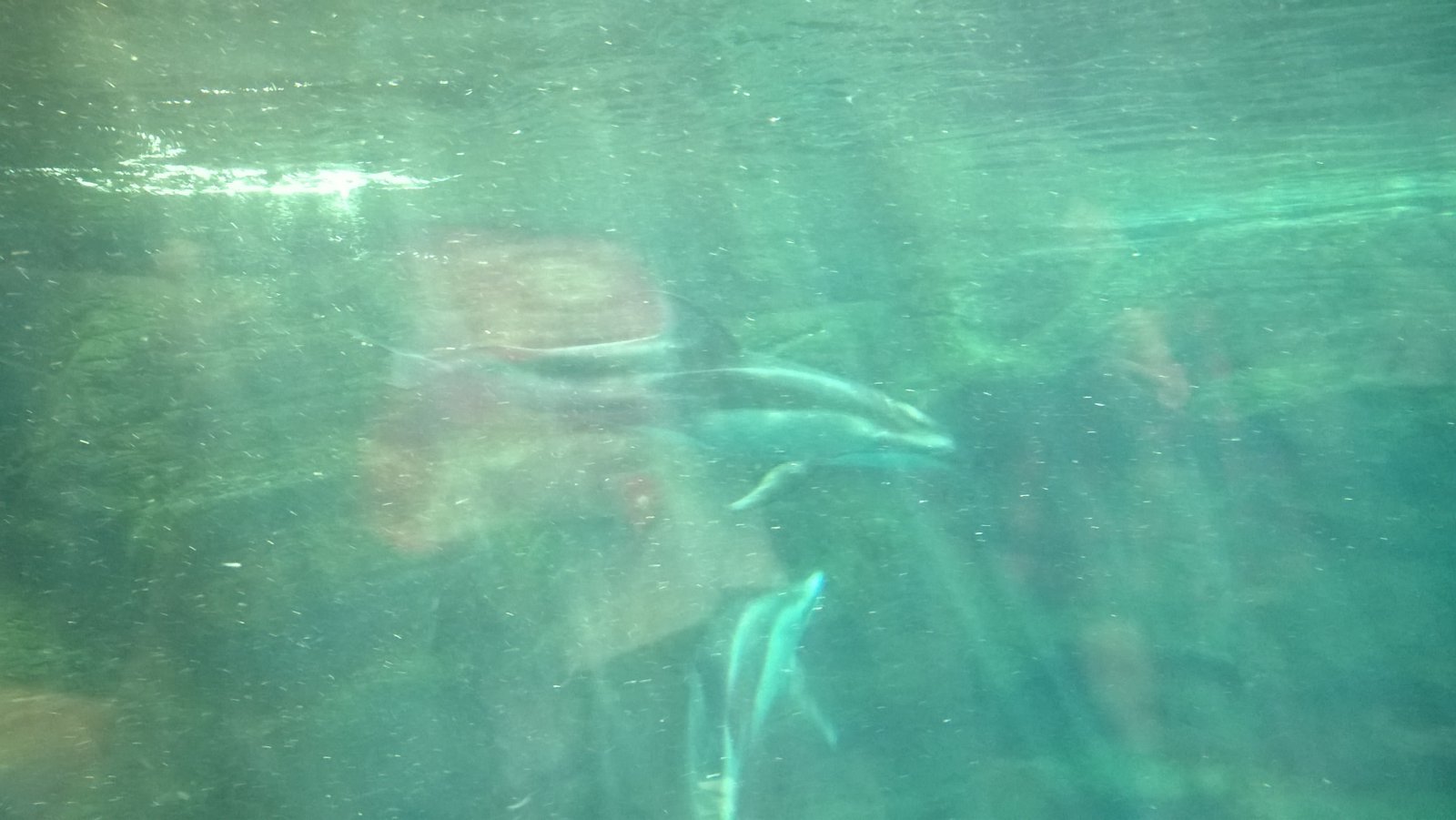 WP_20180328_10_30_06_Pro.jpg