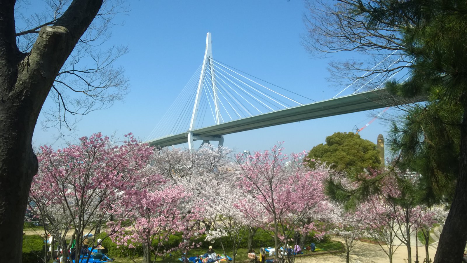 WP_20180328_13_15_35_Pro.jpg