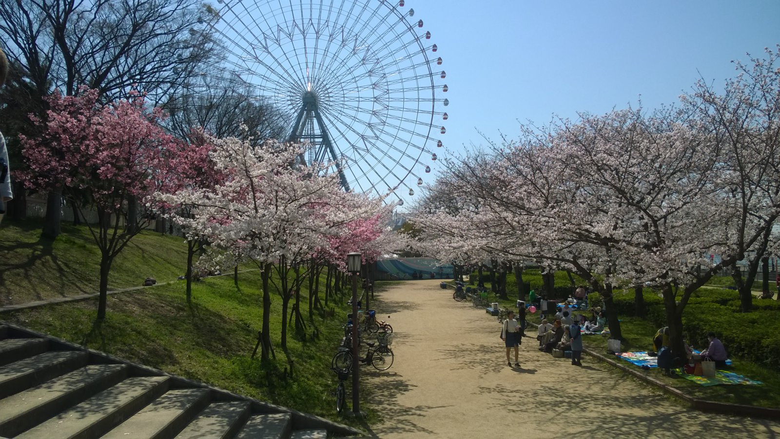 WP_20180328_13_22_10_Pro.jpg
