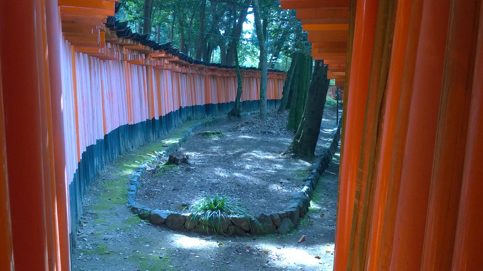 WP_20180329_10_13_56_Pro.jpg