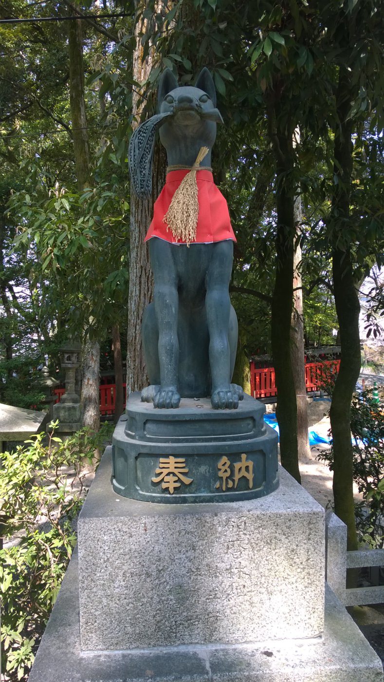 WP_20180329_11_38_46_Pro.jpg