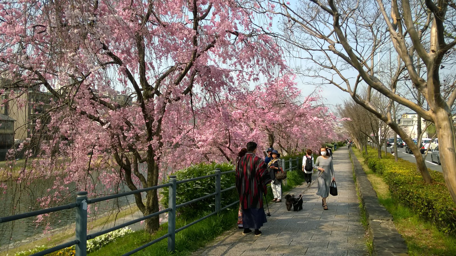 WP_20180329_14_43_27_Pro.jpg