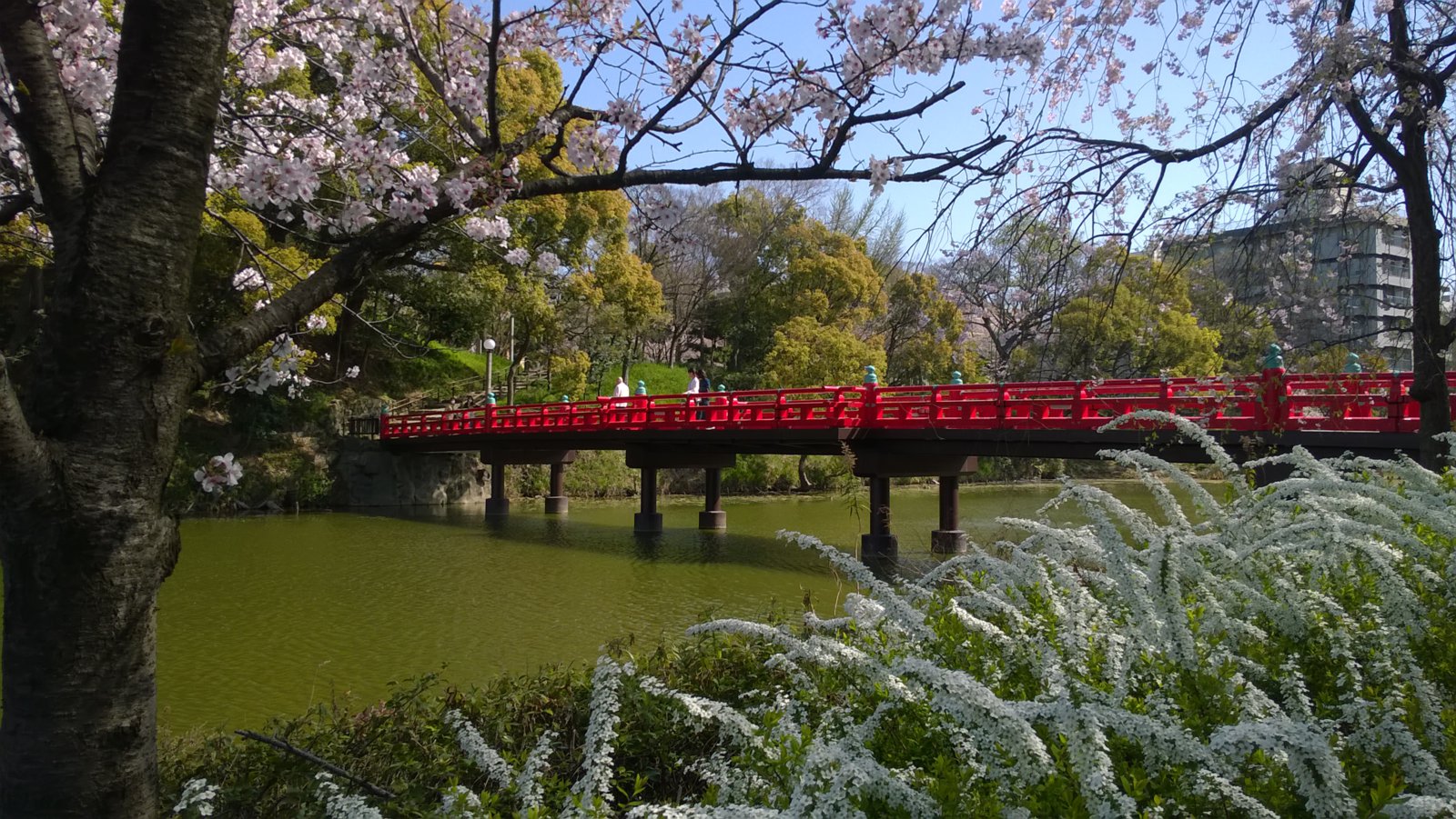 WP_20180330_09_43_38_Pro.jpg