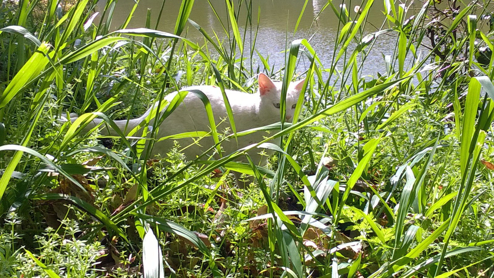 WP_20180330_09_46_00_Pro.jpg
