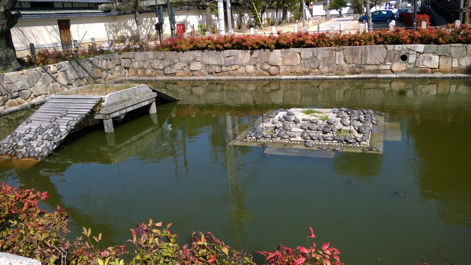 WP_20180330_10_11_09_Pro.jpg