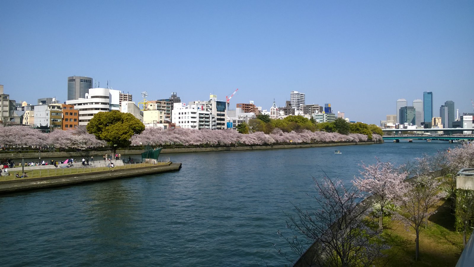 WP_20180331_14_45_05_Pro.jpg