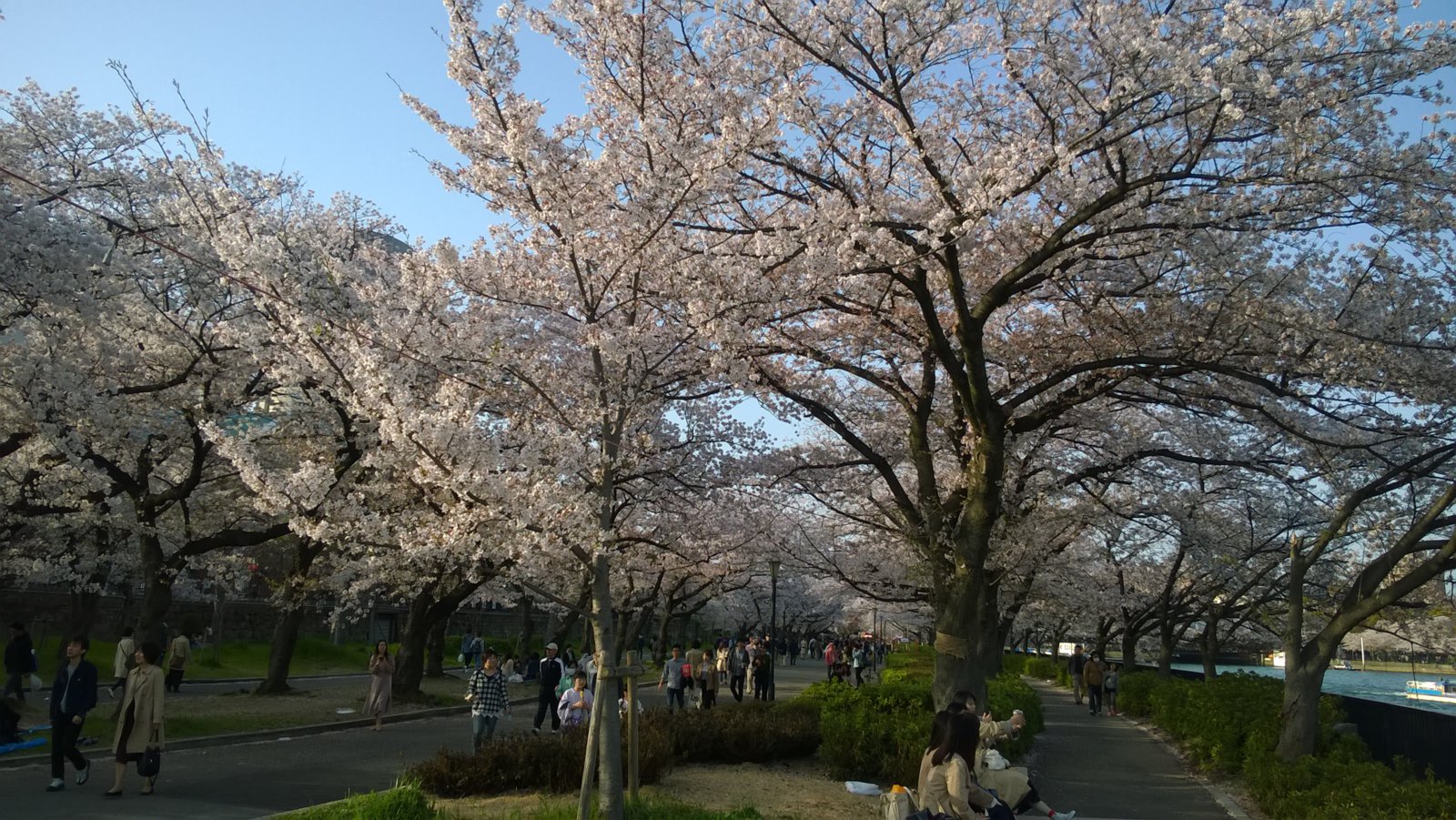 WP_20180331_16_42_22_Pro.jpg