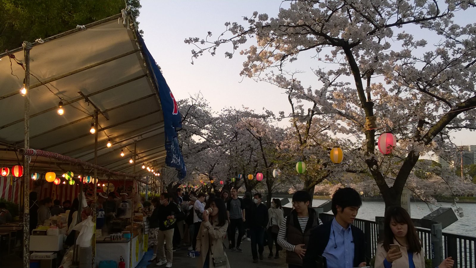 WP_20180331_16_53_15_Pro.jpg