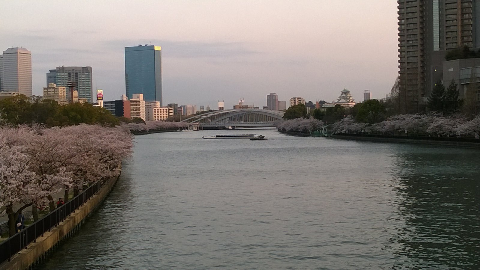 WP_20180331_18_03_36_Pro.jpg