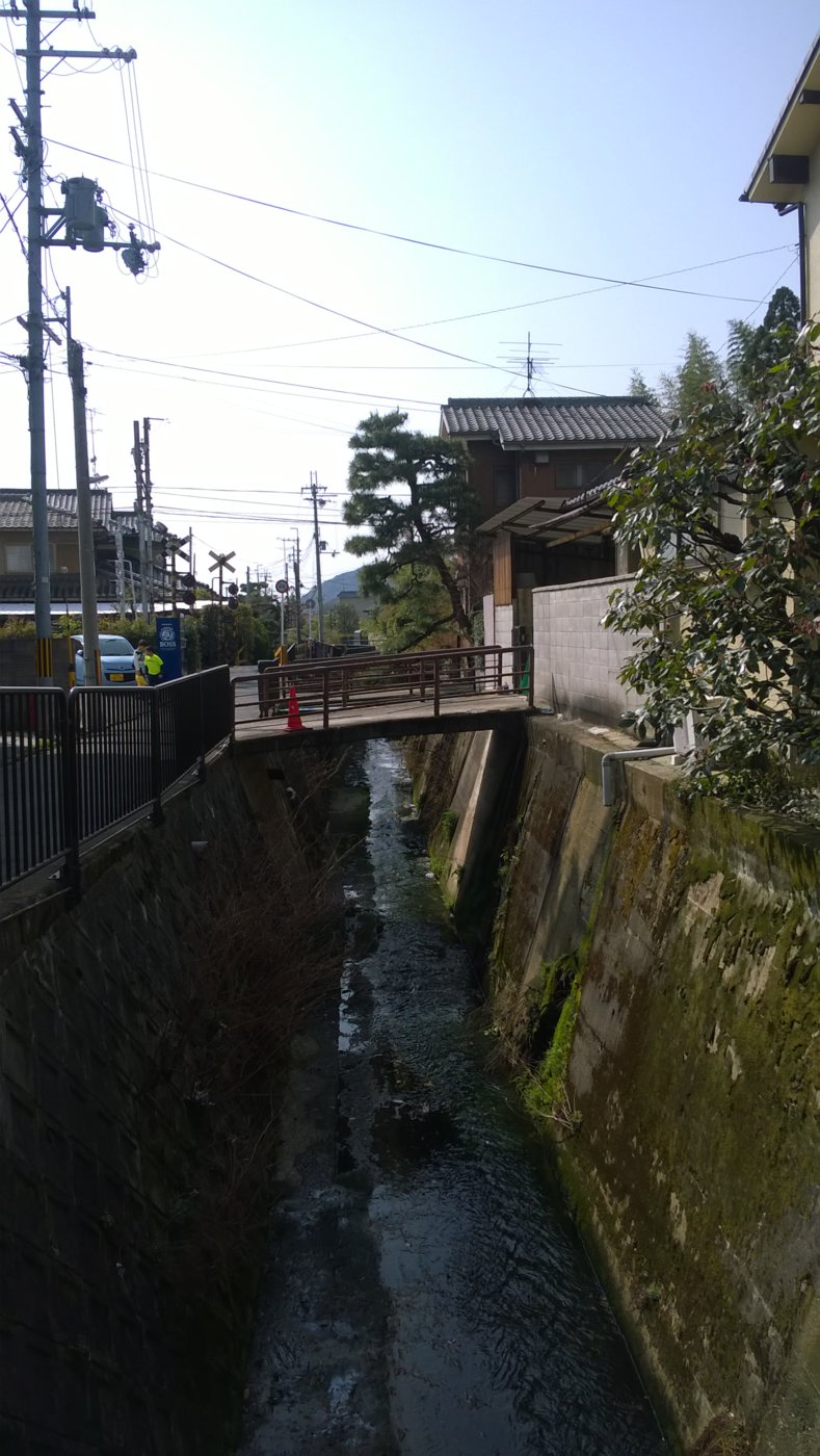 WP_20180401_09_45_08_Pro.jpg