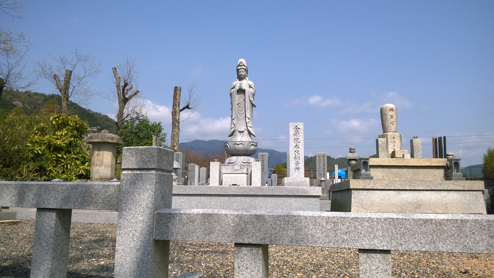 WP_20180401_10_14_33_Pro.jpg