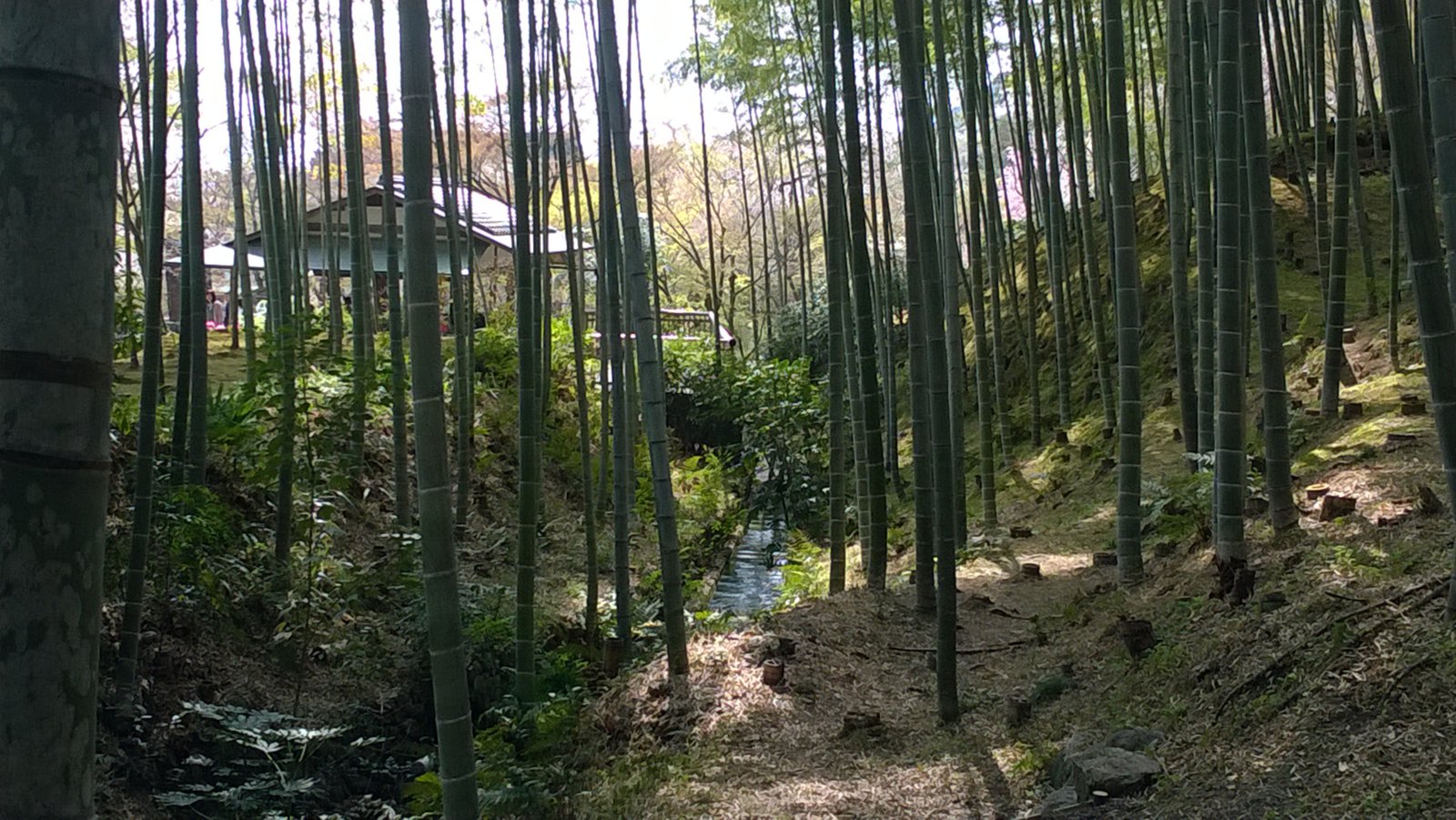 WP_20180401_10_17_56_Pro.jpg
