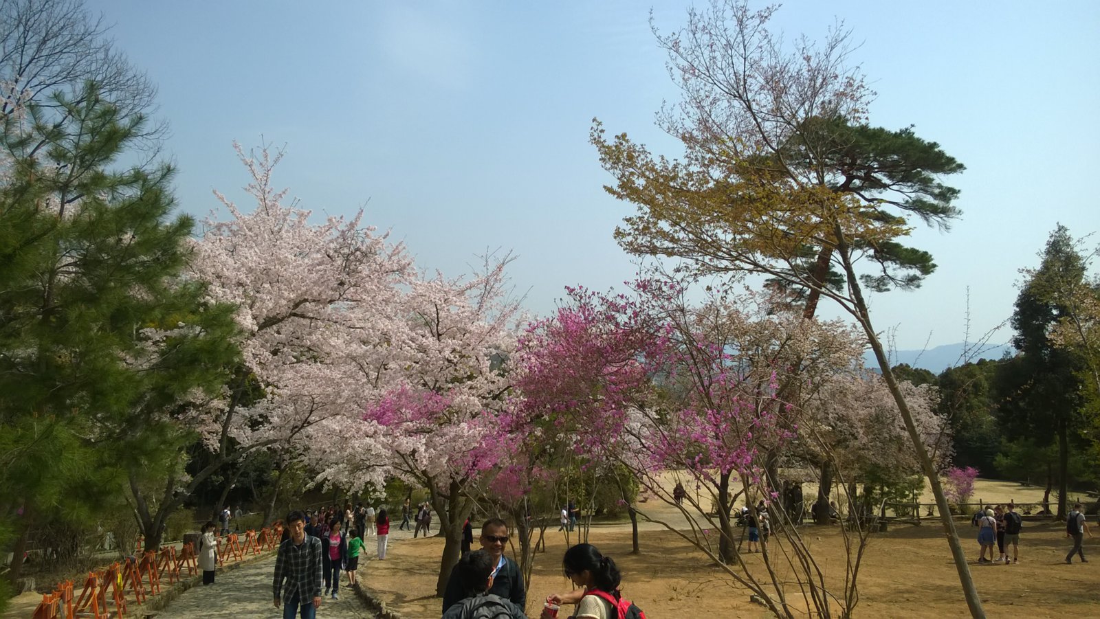 WP_20180401_10_28_33_Pro.jpg
