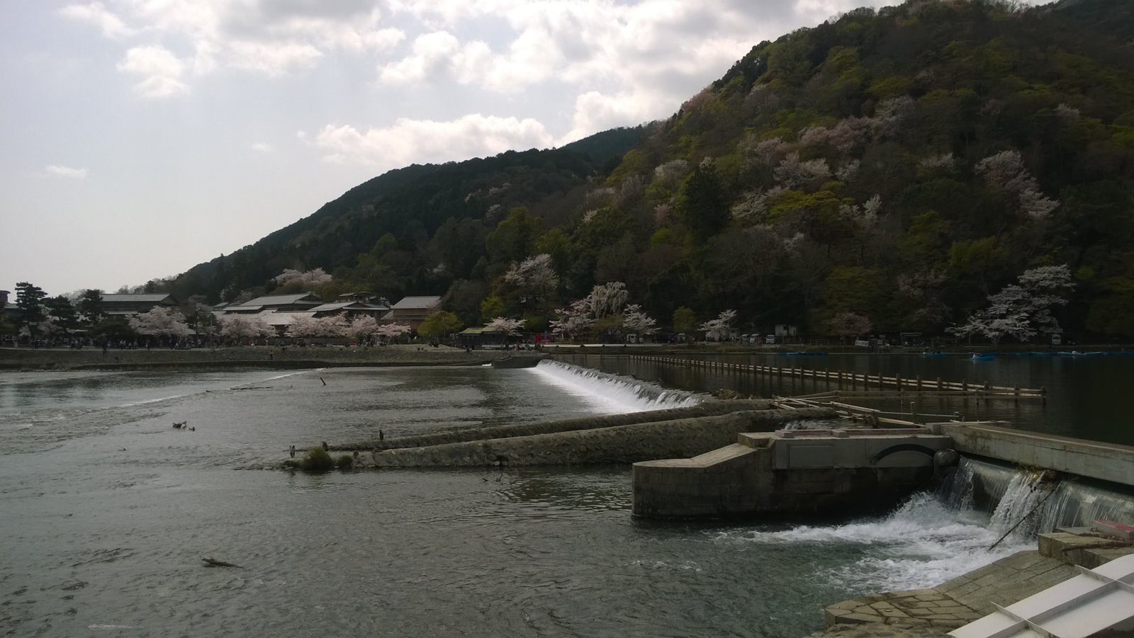 WP_20180401_10_57_41_Pro.jpg