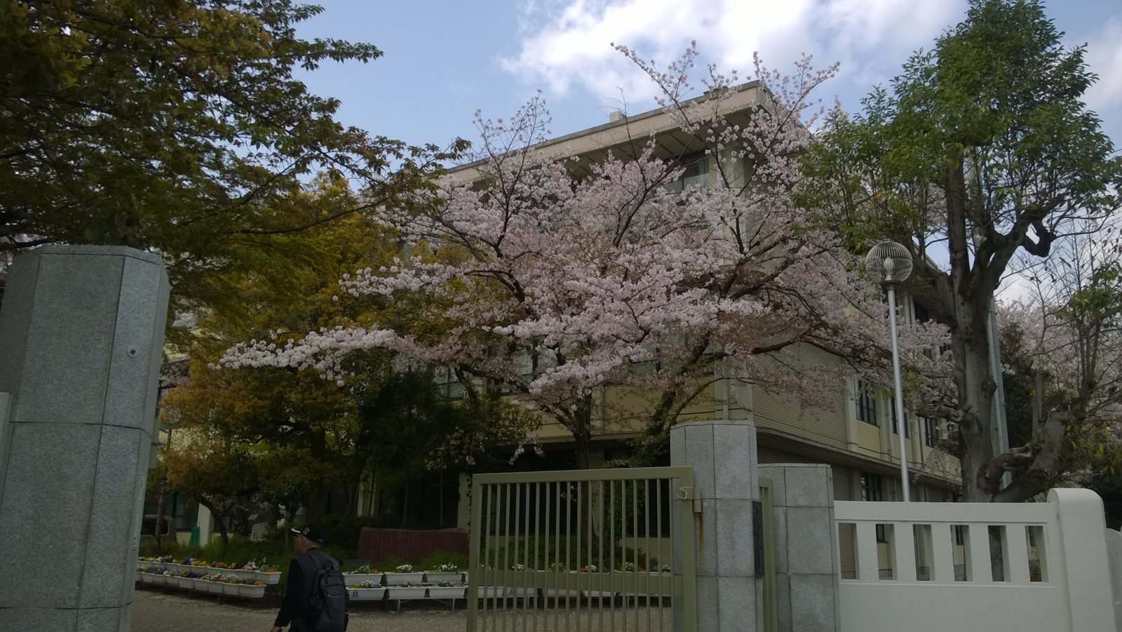WP_20180401_12_45_09_Pro.jpg