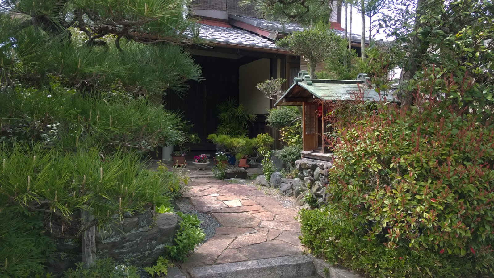 WP_20180401_13_06_42_Pro.jpg