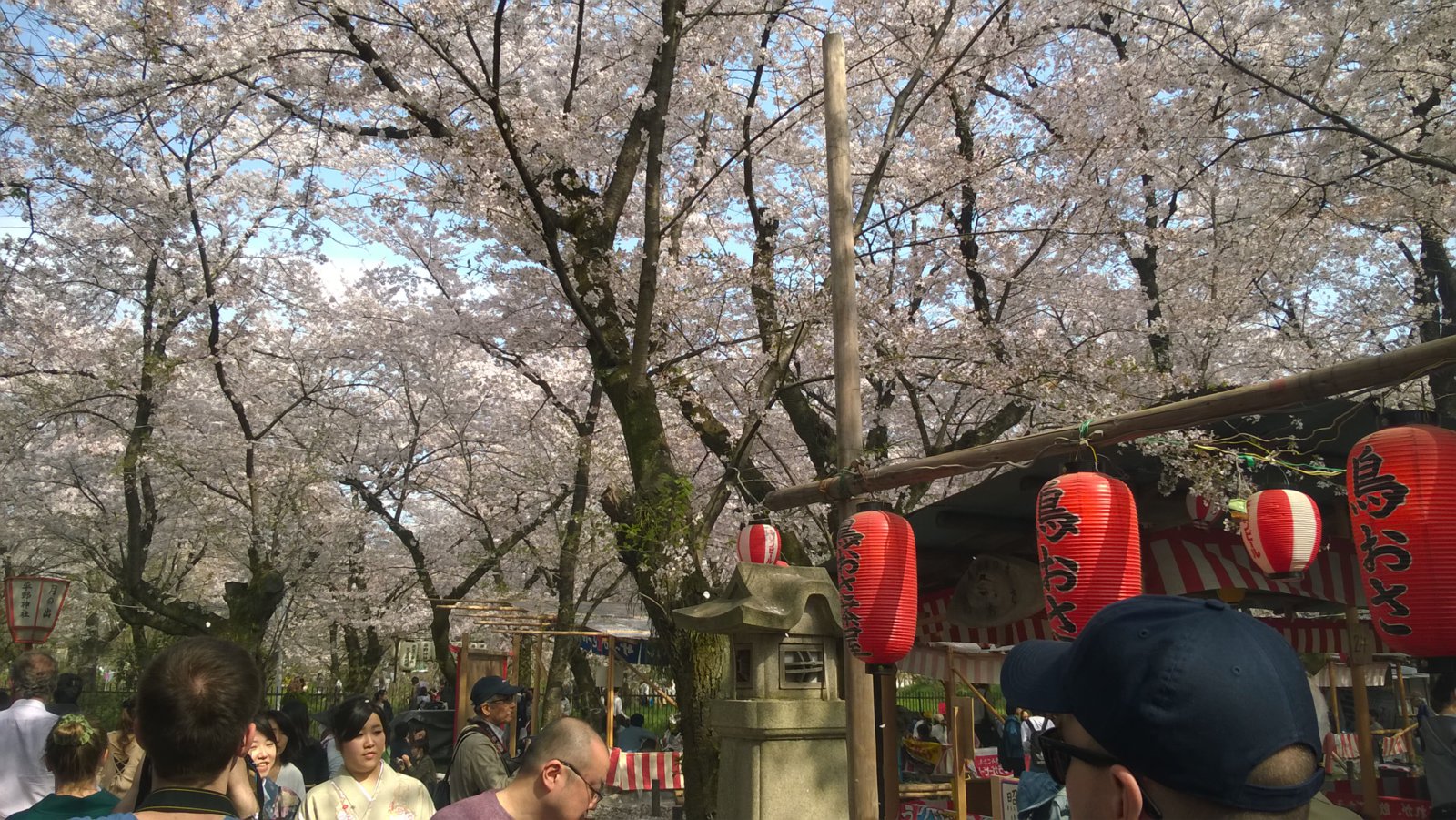 WP_20180401_14_39_09_Pro.jpg